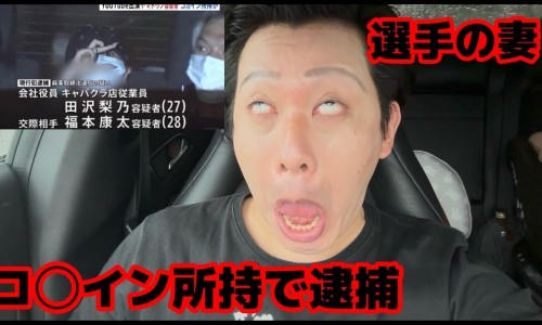 人体结构几何体速写-茶花绿茶功效-专业天津格林国际幼儿园学费平台-茶花绿茶功效和作用